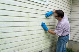 Best Siding Painting and Refinishing  in Gahanna, OH